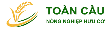 Công ty TNHH Tập Đoàn Nông Nghiệp Sạch Hữu Cơ Toàn Cầu